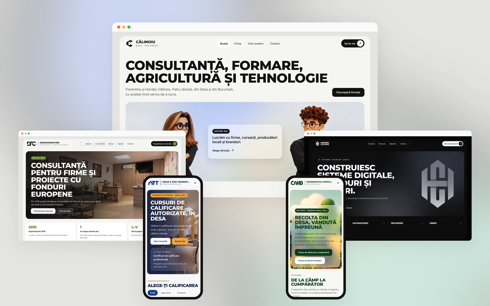 Cele cinci site-uri Călinoiu pe desktop și telefon